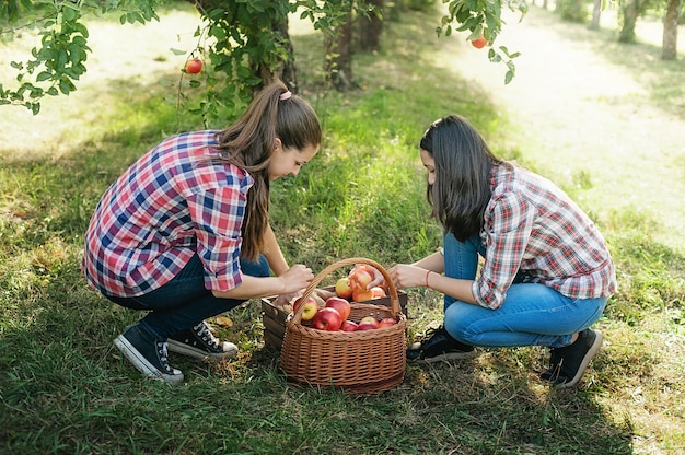 Niñas con manzana en el huerto de manzanas