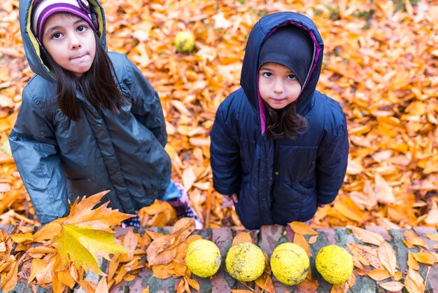 Niñas en otoño hojas de naranja en el parque