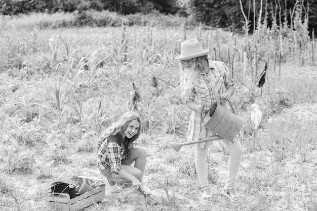 Niñas plantando plantas Concepto de agricultura Cultivando verduras Plantando verduras Esperanza de una buena cosecha Hermanas juntas ayudando en la granja Niños rústicos trabajando en el jardín Plantando y regando