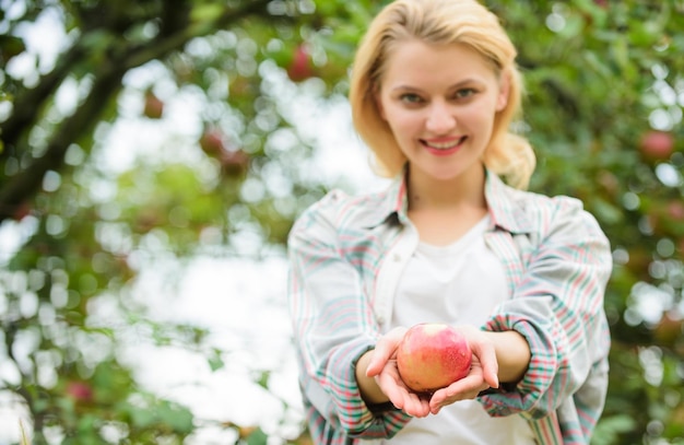 Las niñas recogen la cosecha de manzanas en su propio jardín Las niñas granjeras sostienen la manzana Concepto de cultivos locales Estilo de vida saludable Comer frutas todos los días Las mujeres sostienen el fondo verde del jardín de manzana Producto natural orgánico