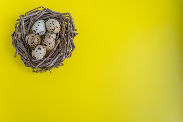 Ninho de codorna com ovos sobre o fundo amarelo. Postura plana com espaço de cópia para cartões postais e design