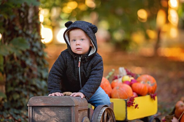 Niñito en un tractor con un carro con una cosecha de otoño calabazas, viburnum, rowan, manzanas