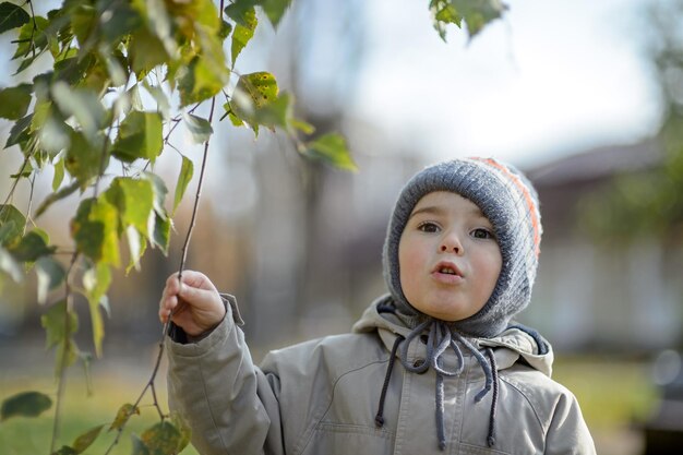 Un niño de 3 años en el parque bajo las ramas de un árbol.