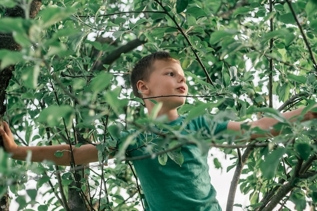 Niño de 8 a 10 años en camiseta verde se encuentra entre el follaje verde de un árbol, en los rayos del sol