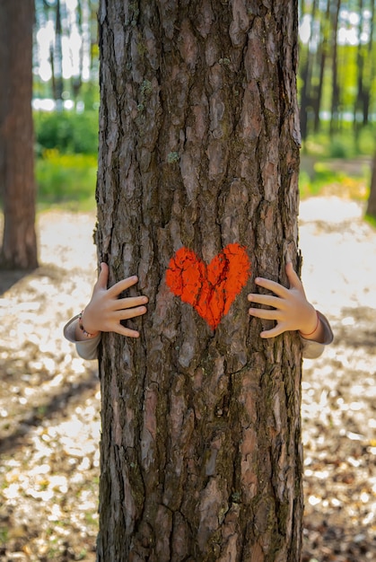 Foto un niño abraza un árbol