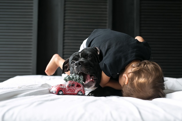 Un niño abraza a un perro jugando un juguete de Navidad