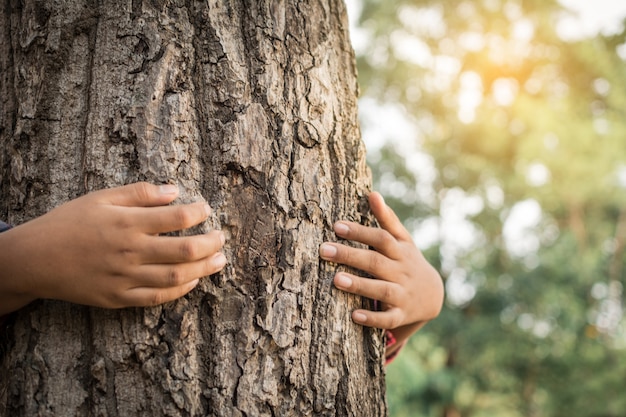 niño abrazando árbol grande