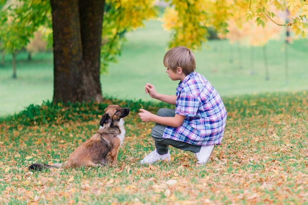 Niño abrazando a un perro y jugando con en el otoño