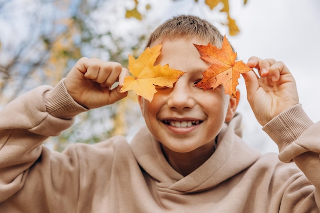 Niño adolescente escondiendo sus ojos detrás de hojas de arce Niño sosteniendo hojas amarillas de otoño en sus manos Adolescente divirtiéndose caminando en el parque de otoño Enfoque selectivo