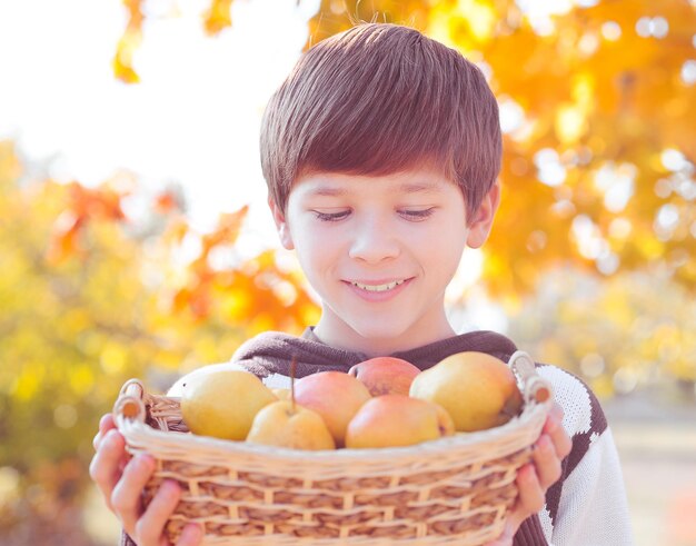 Niño adolescente sonriente sosteniendo una cesta de paja de frutas frescas de pera sobre fondo de hojas amarillas