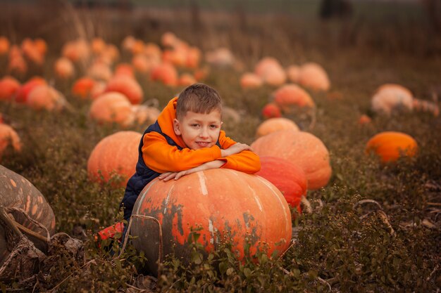 Niño adorable que se divierte con la calabaza en pumpkinpatch en granja.