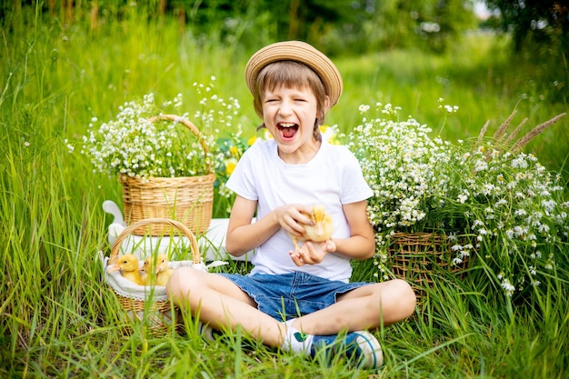 un niño alegre sostiene pequeños patitos amarillos en una canasta en verano en un césped verde entre las flores un niño juega con un animal