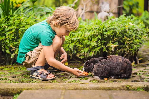 El niño alimenta al conejo Prueba de cosméticos en animales de conejo Libre de crueldad y detener el concepto de abuso animal