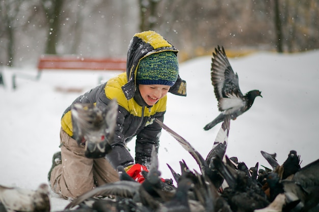 Niño alimenta pájaros hambrientos en invierno. Rescata animales en frío. El niño protege la naturaleza. Palomas de la ciudad en invierno en la nieve.