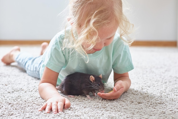 Foto un niño alimenta a una rata mascota tirada en la alfombra el concepto de cuidado y amor de mascotas