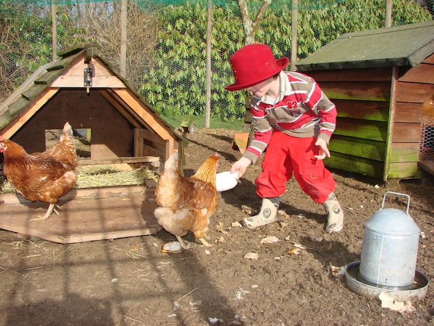 Niño alimentando a un pájaro de pollo mientras está de pie en el campo