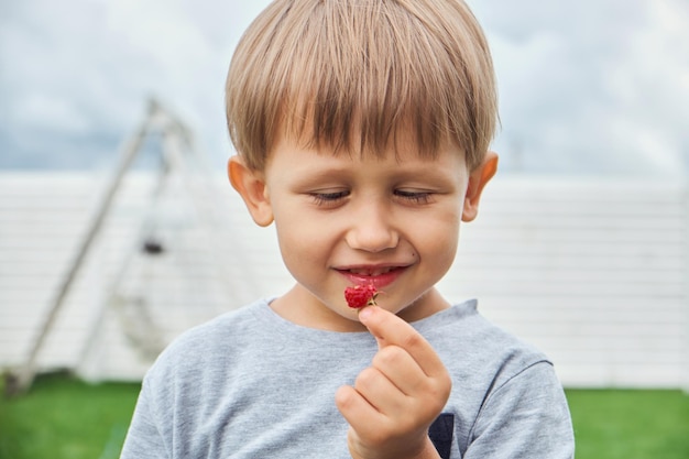 Niño de años sosteniendo y comiendo frambuesas en el patio trasero