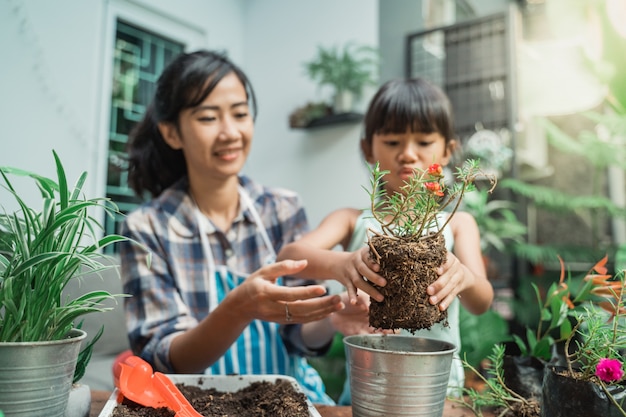 Niño aprendiendo a hacer jardinería plantando algunas plantas