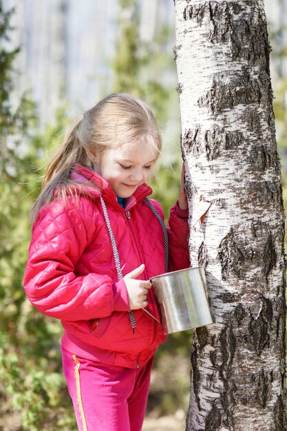 Niño en un árbol con capacidad de recolectar savia de abedul