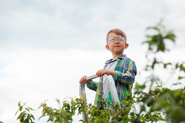 Niño en el árbol de la escalera, jardinería en el jardín del patio trasero