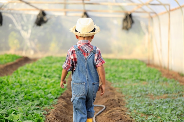 Un niño asiático está caminando mirando parcelas de vegetales en un invernadero orgánico.