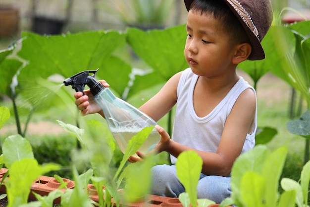 Un niño asiático está cuidando las parcelas de vegetales utilizando pesticidas ecológicos.