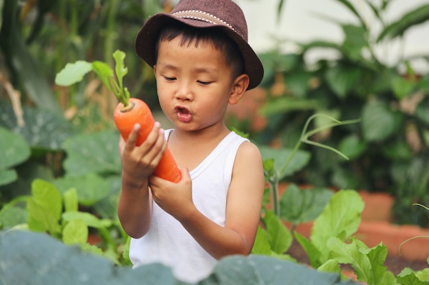 Un niño asiático lleva una zanahoria que recogió de un campo. Está orgulloso de cultivar una zanahoria grande.