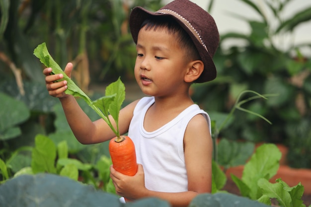 Un niño asiático lleva una zanahoria que recogió de una parcela en su jardín.