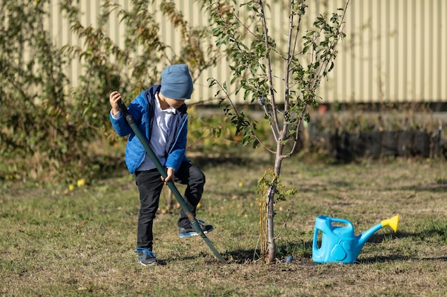 El niño ayuda en un jardín de otoño El niño cava el suelo alrededor del árbol, lo afloja y lo riega Pala en el suelo en el suelo Trabajar en la jardinería del campo Los niños ayudan a los padres a trabajar juntos