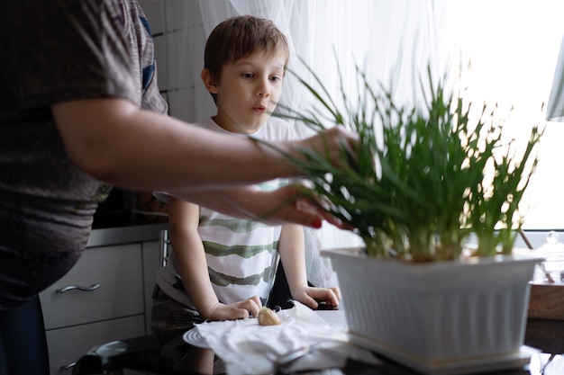 Niño ayudando a su abuela a recoger cebolla fresca