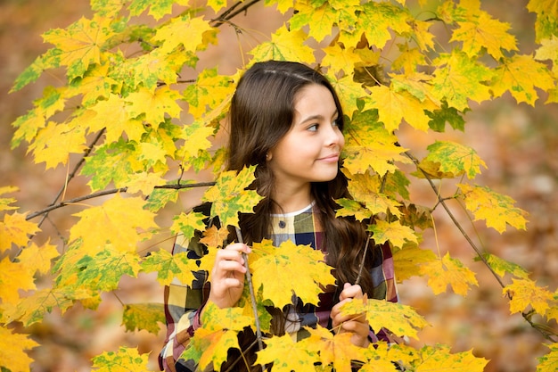 Niño de belleza pensativa en el parque de otoño el otoño es un momento para la escuela buen clima para caminar al aire libre niño en hojas de otoño belleza de la naturaleza niña feliz con cabello largo niña en hojas de arce amarillas