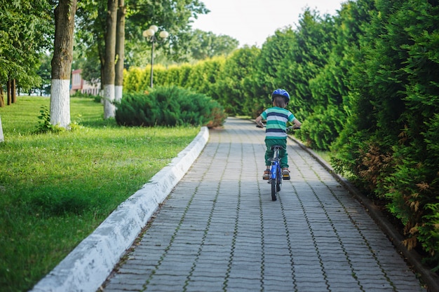 Niño en una bicicleta en la carretera de asfalto en día de verano en el parque. Vista trasera