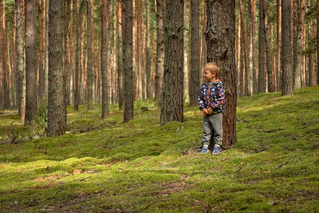 Un niño en un bosque de coníferas, un bosque de pinos, un niño entre los troncos de los árboles en el bosque