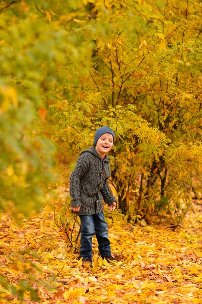 Niño en bosque de otoño amarillo y dorado