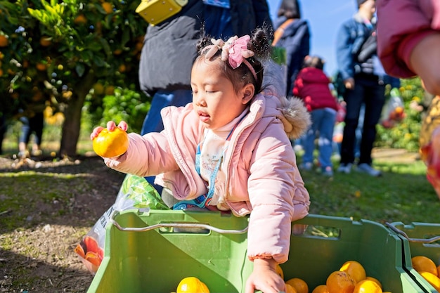 Un niño en una caja de naranjas.