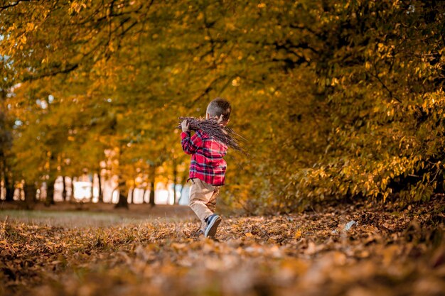 Niño camina en la naturaleza en otoño, un niño en edad preescolar en el otoño Parque en hojas amarillas.