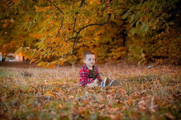 Un niño camina en la naturaleza en otoño, un niño en edad preescolar en el parque de otoño con hojas amarillas