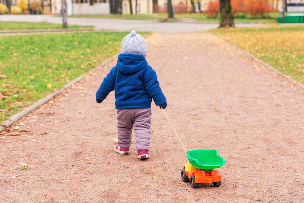 Un niño camina en el parque a lo largo de un camino sembrado de hojas tirando de un coche de juguete