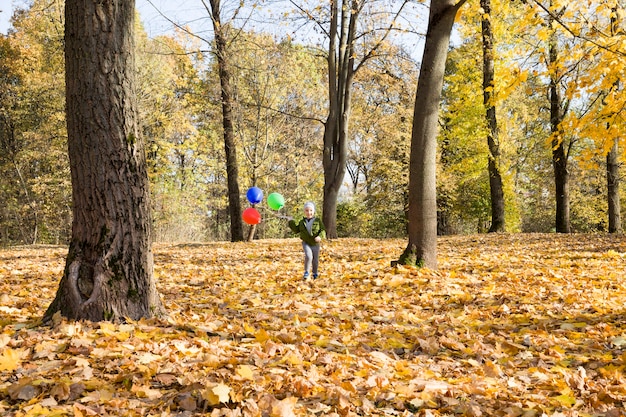 Un niño camina en el parque de otoño en un clima cálido y soleado