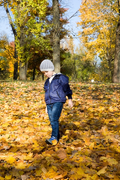 niño camina en el parque en el otoño