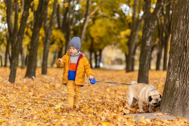 Un niño camina con un pug en el parque de otoño. Amigos desde la infancia.