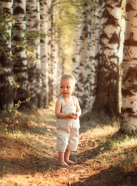 Foto niño caminando en el bosque de otoño