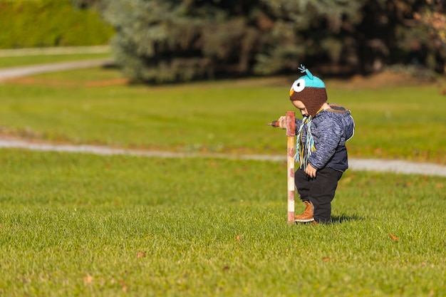 Foto niño caminando sobre campo verde en un cálido día de otoño