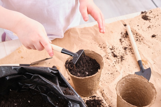 Un niño con una camiseta blanca vierte tierra en una maceta de turba, un niño planta un senen, herramientas de jardín en la mesa