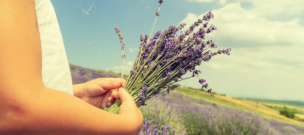 Un niño en un campo de flores de lavanda.