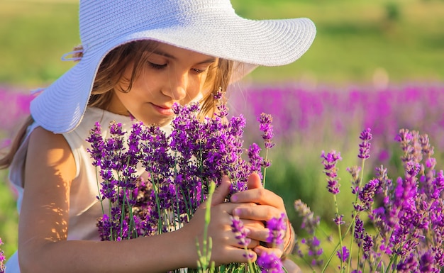 Un niño en un campo de lavanda. Enfoque selectivo.