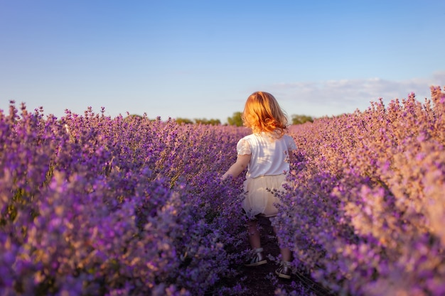 Un niño en un campo de lavanda.