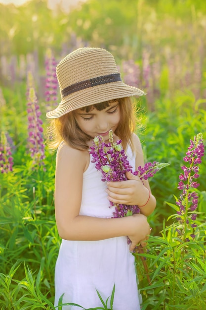 Niño en un campo de lupino