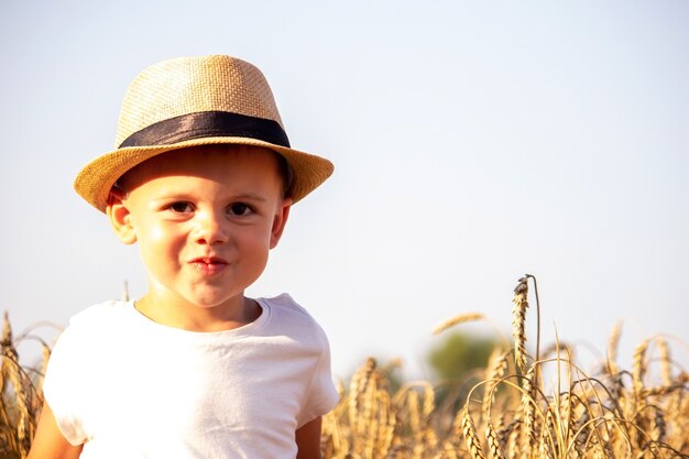 Niño en un campo de trigo abrazando una cosecha de cereales. Naturaleza, Enfoque selectivo