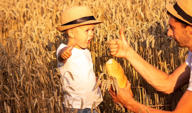 Un niño en un campo de trigo come pan.